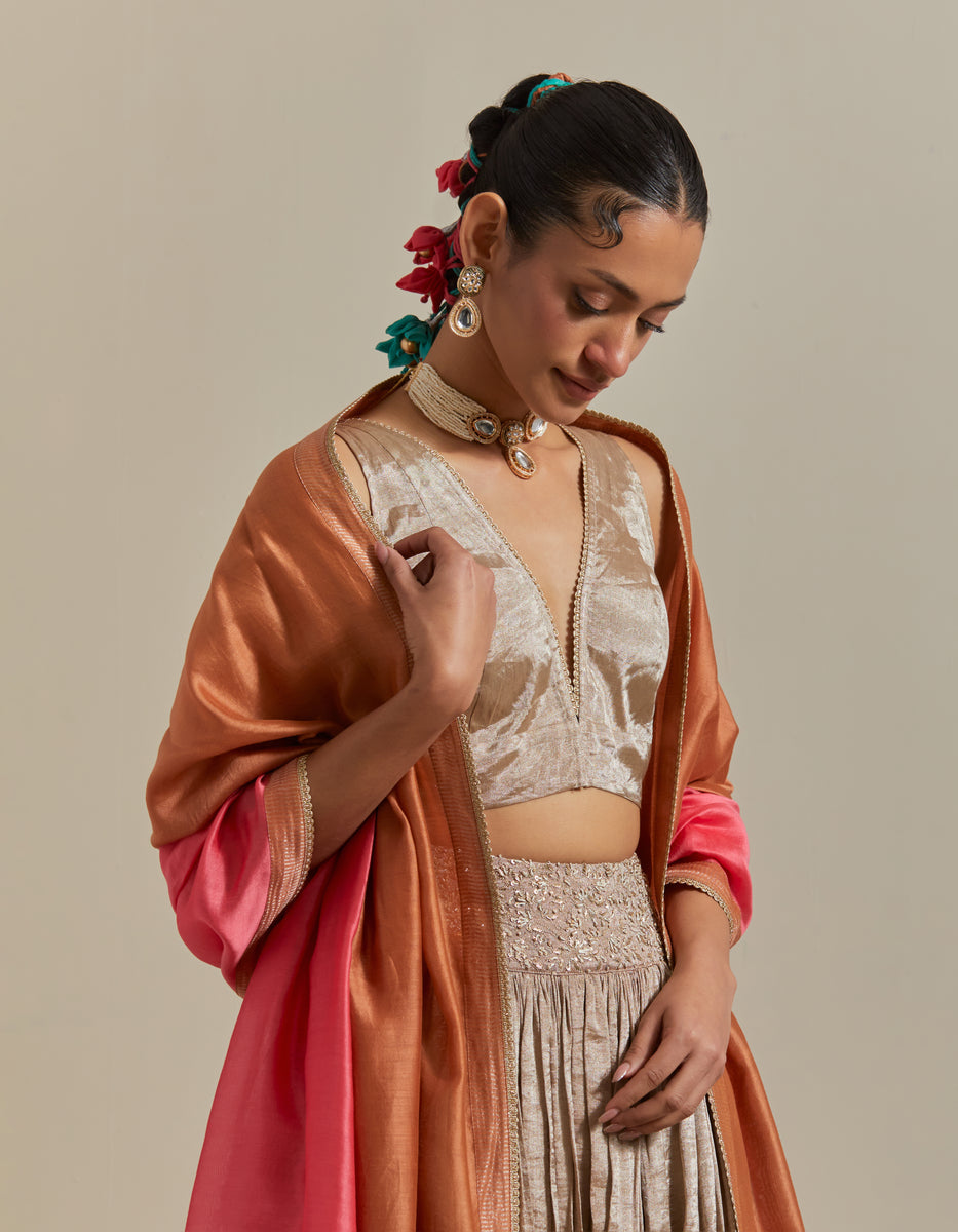 CY Vinusto Beige Embroidered Skirt Set Closeup 1