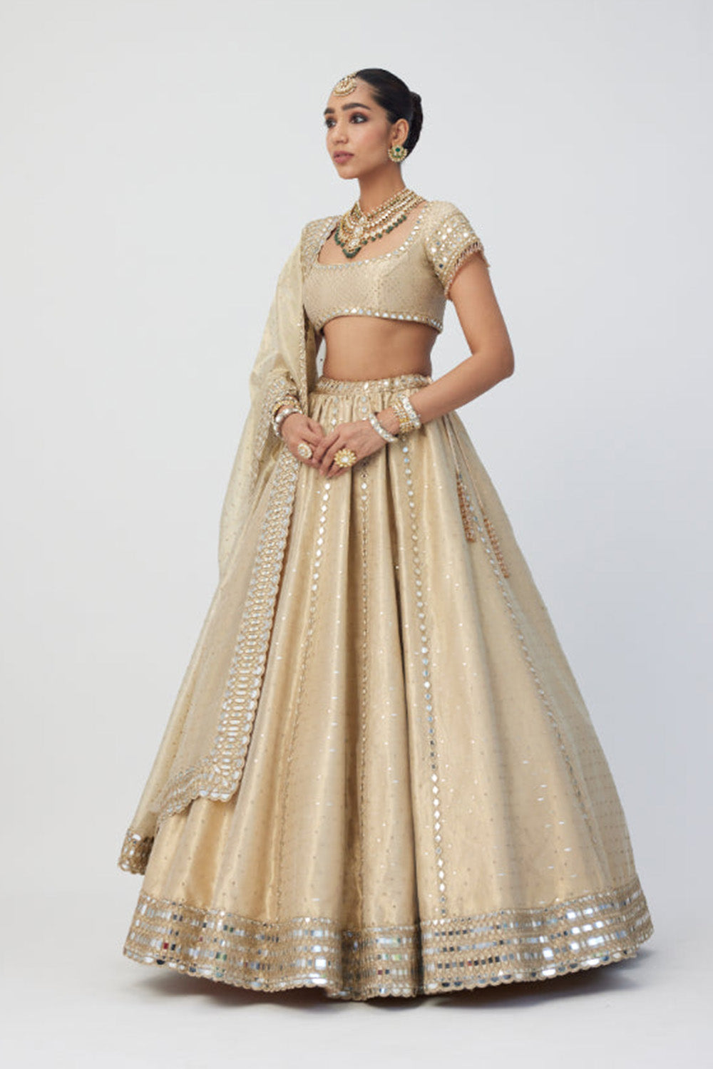 Golden Shimmer Organza Linear Lehenga Set