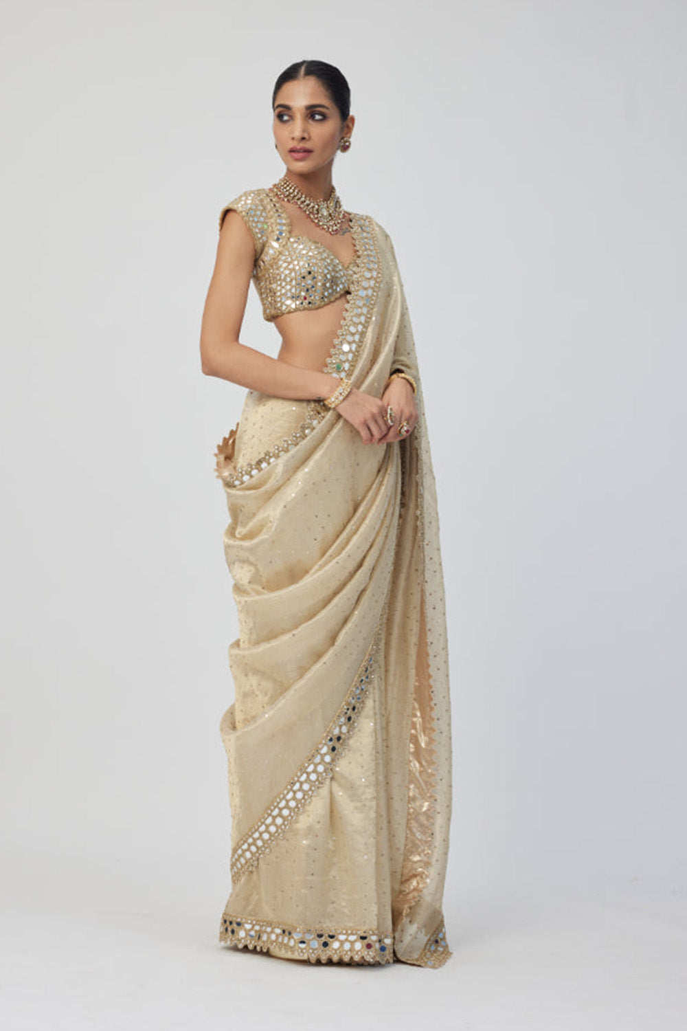 Golden Shimmer Organza saree set