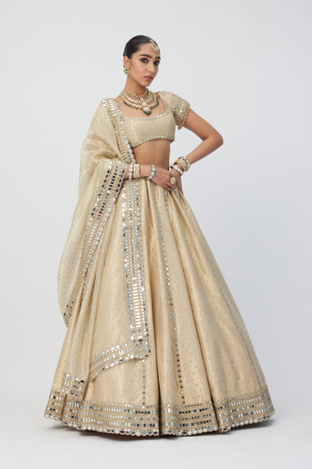 Golden Shimmer Organza Linear Lehenga Set