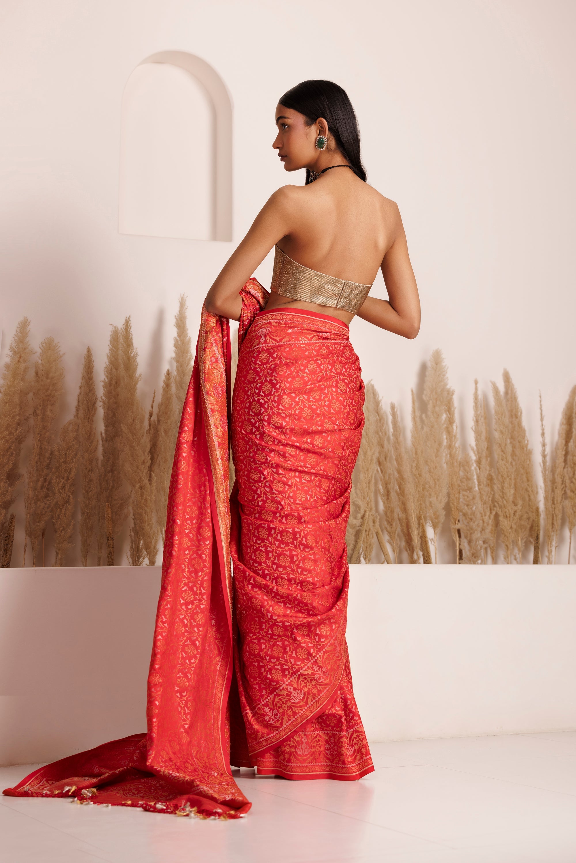 CY Chhaya Mehrotra Ishwari Saree Back 1