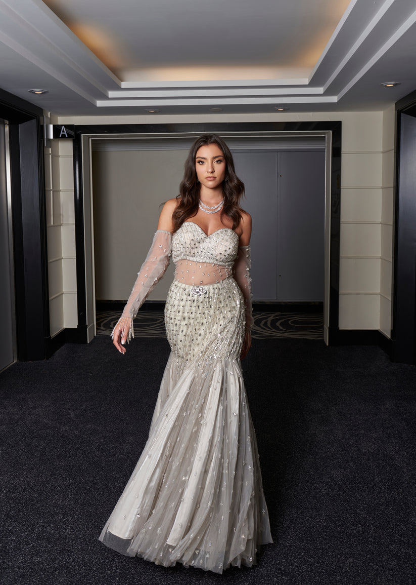 Grey Fishcut Embroidered Gown