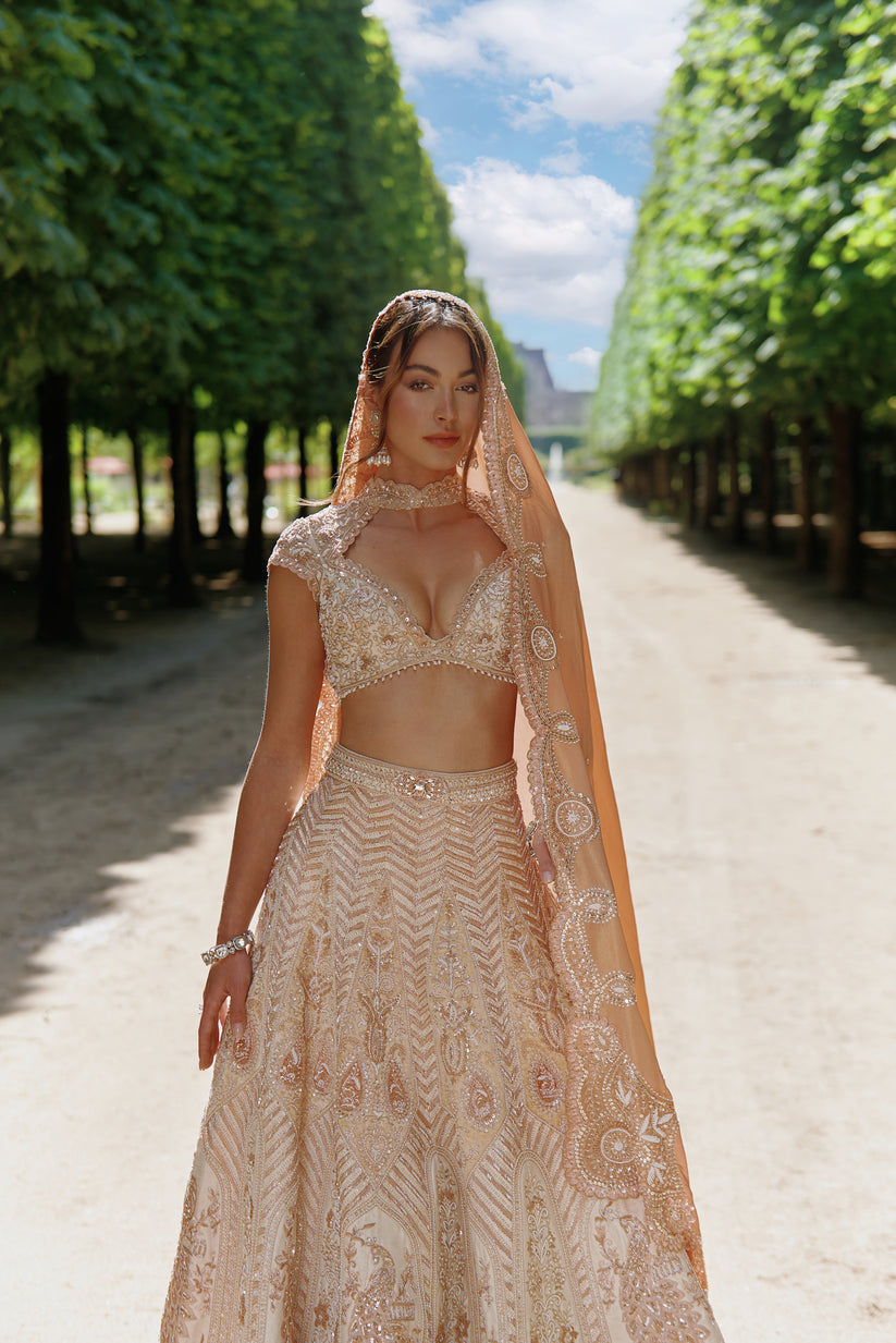 Rust Embroidered lehenga Set