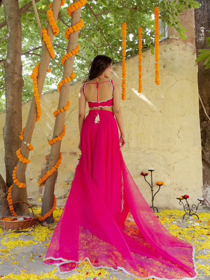 CY Deasha India Rani Magenta Pink Detailed Lehenga Set Back 1
