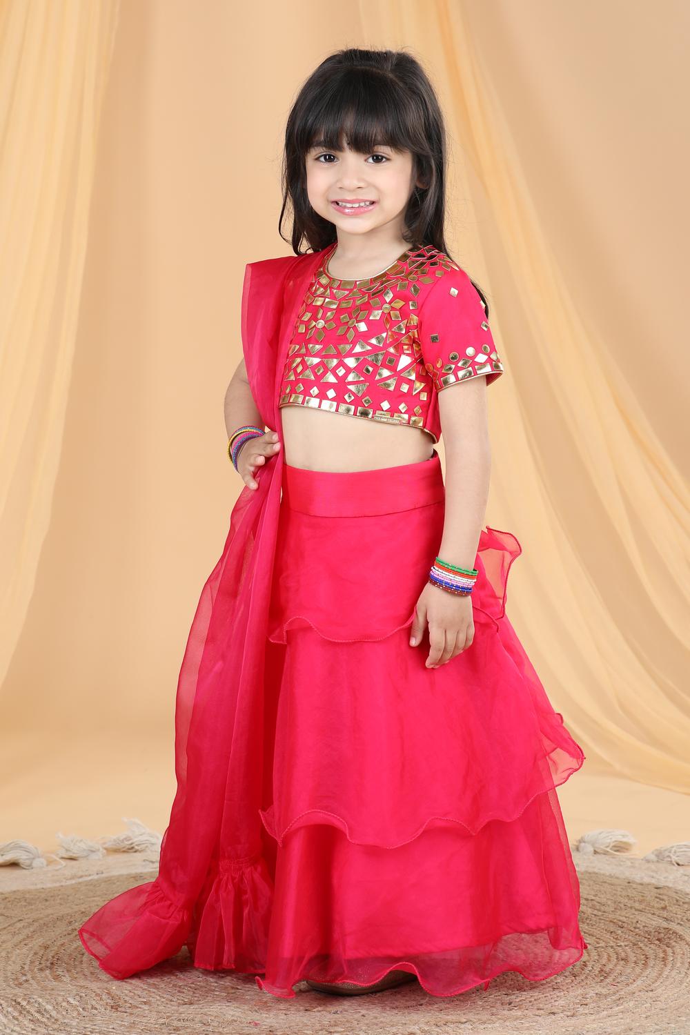 Organza Lehenga With Leather Patching