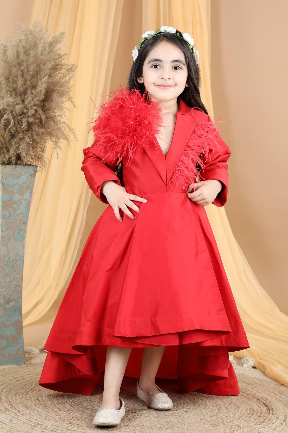 Victorian Dress With Fur