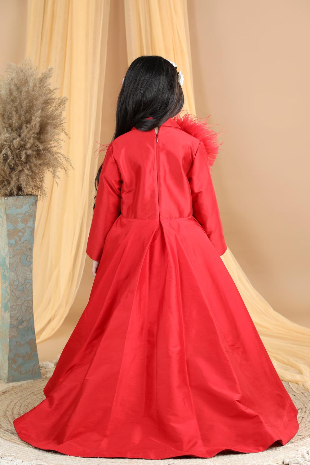 Victorian Dress With Fur