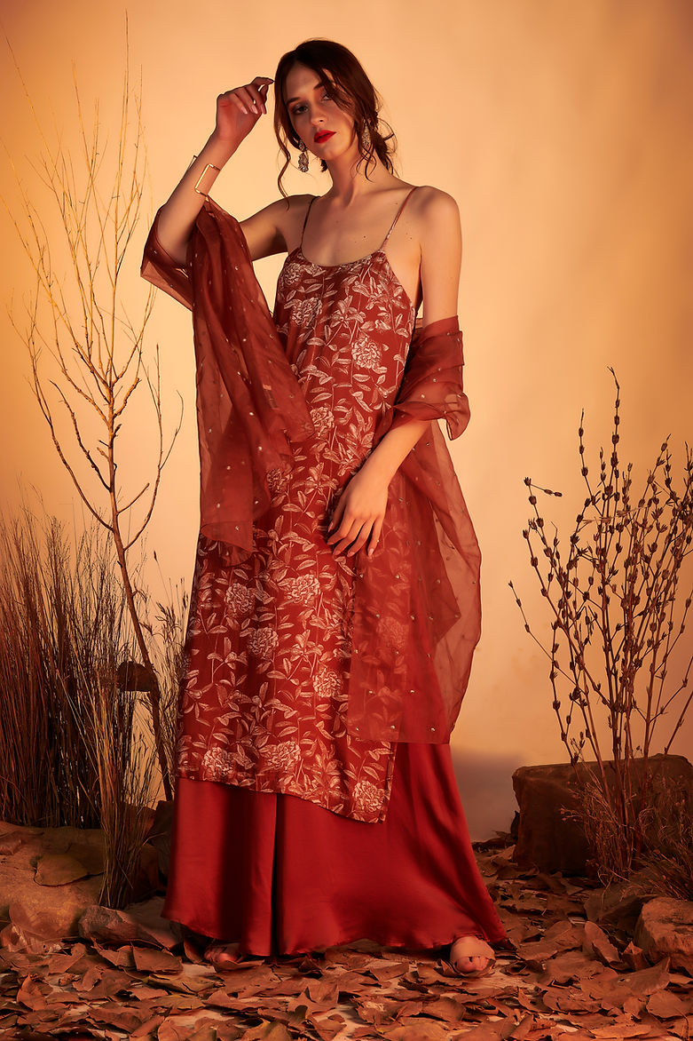 CY House Of Hiya Allusion Sharara Set Front