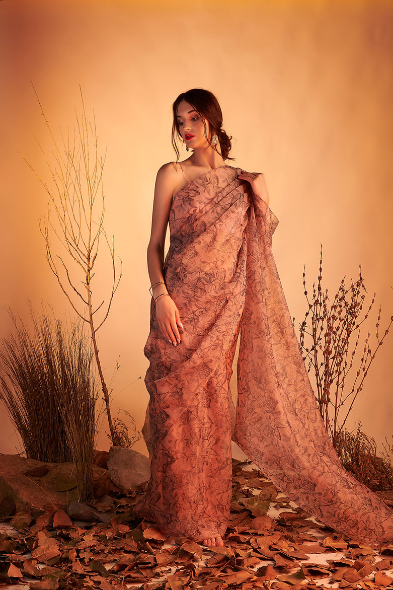 CY House Of Hiya Beige Sonnet Saree Front