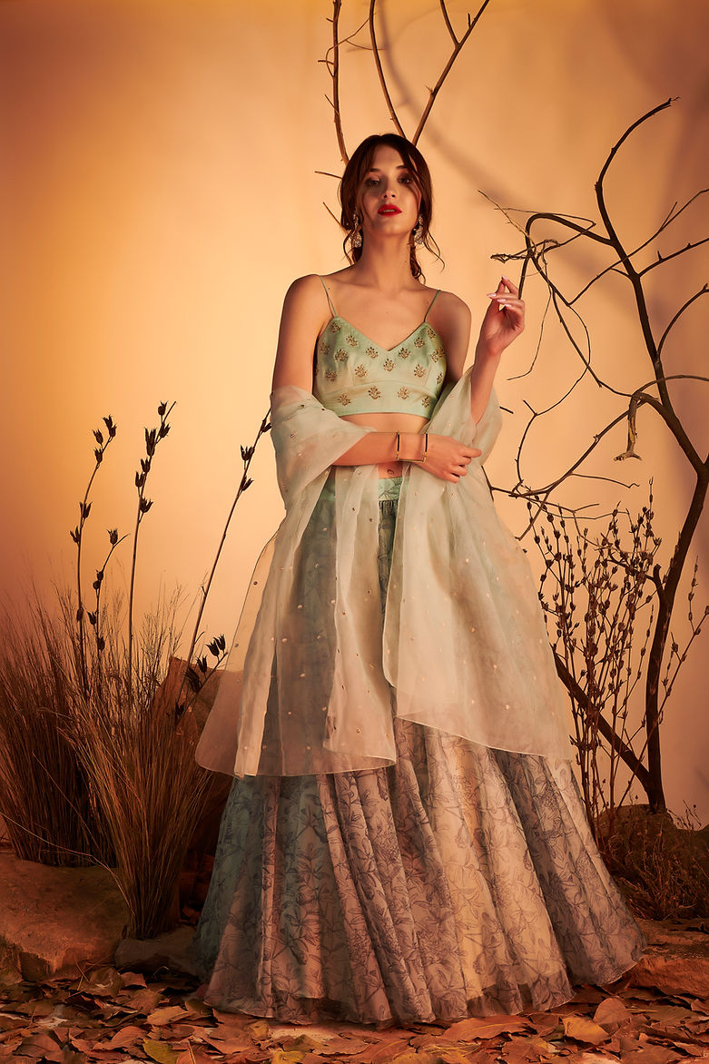 Fossil Lehenga