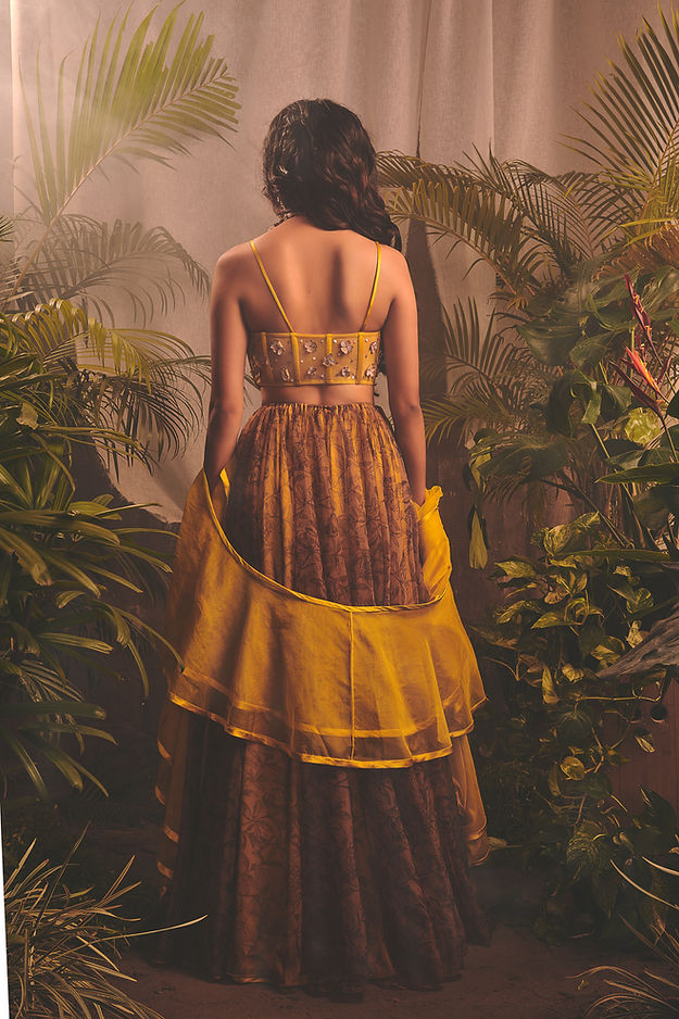 CY House Of Hiya Glorious Lehenga Back 1