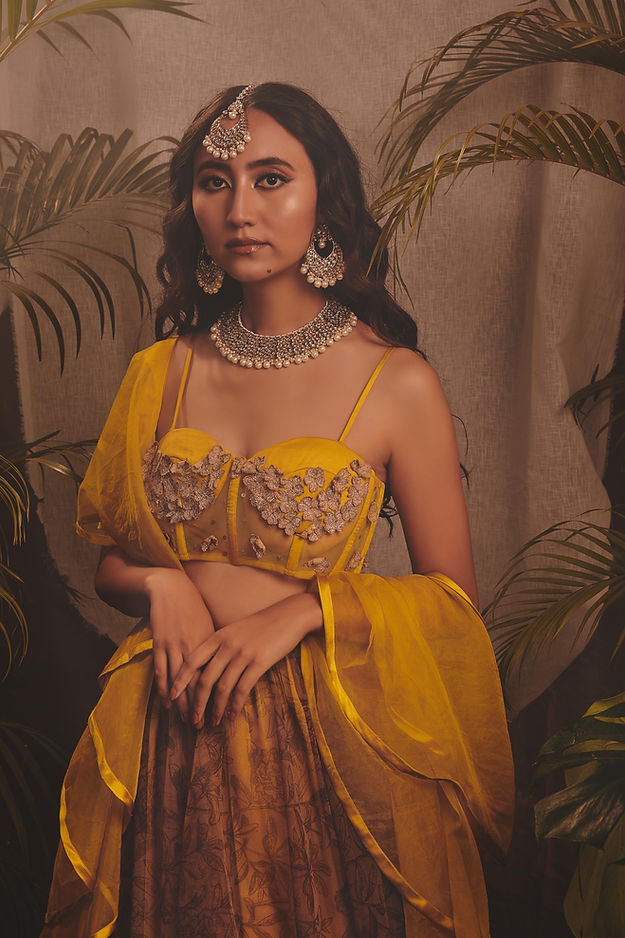 CY House Of Hiya Glorious Lehenga Closeup 1