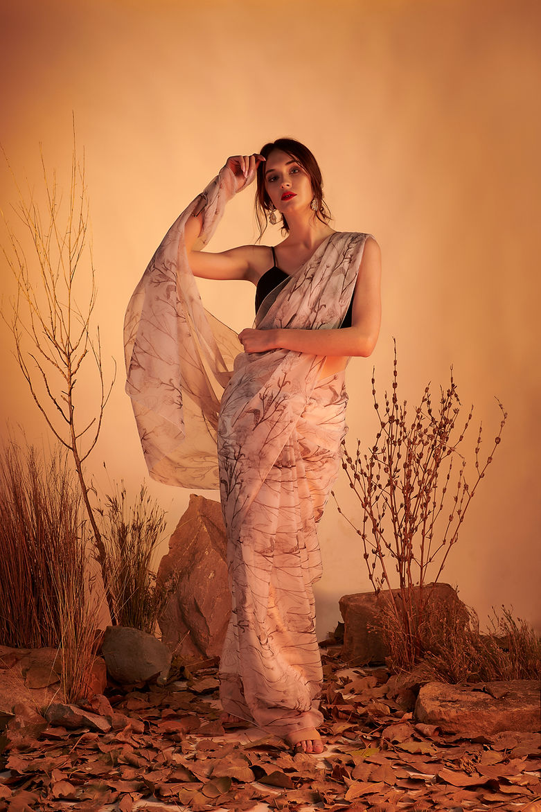 CY House Of Hiya Preface Saree Front