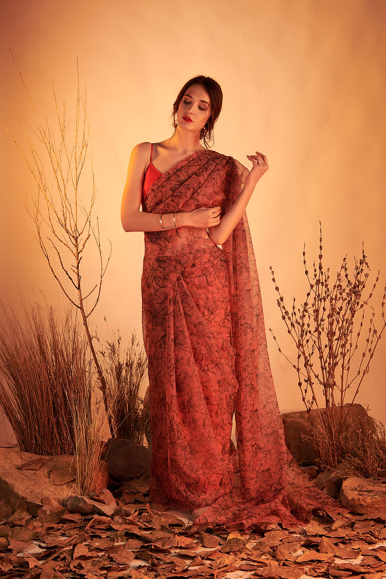 CY House Of Hiya Red Sonnet Saree Front
