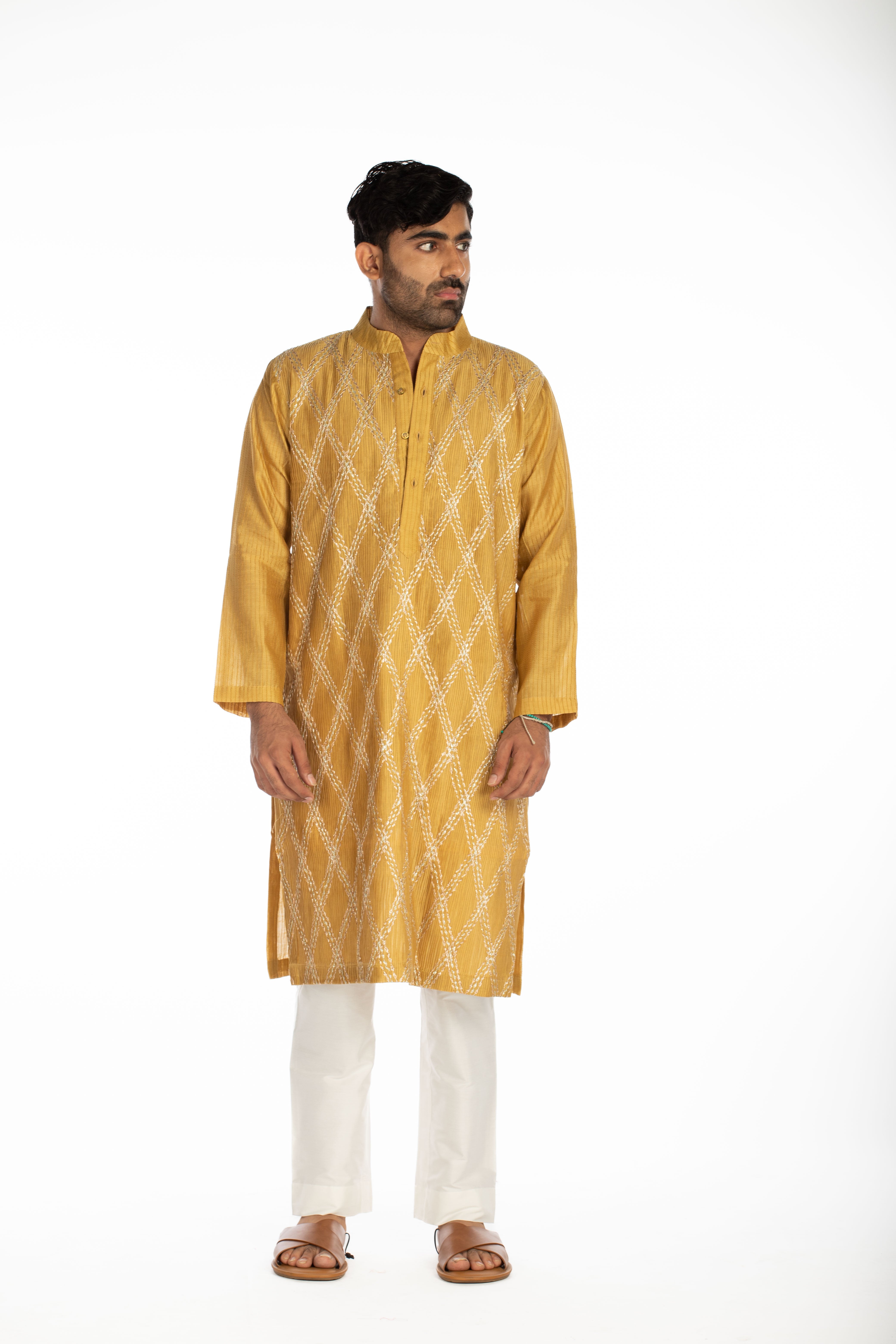 Sandy Brown Embroidered Set