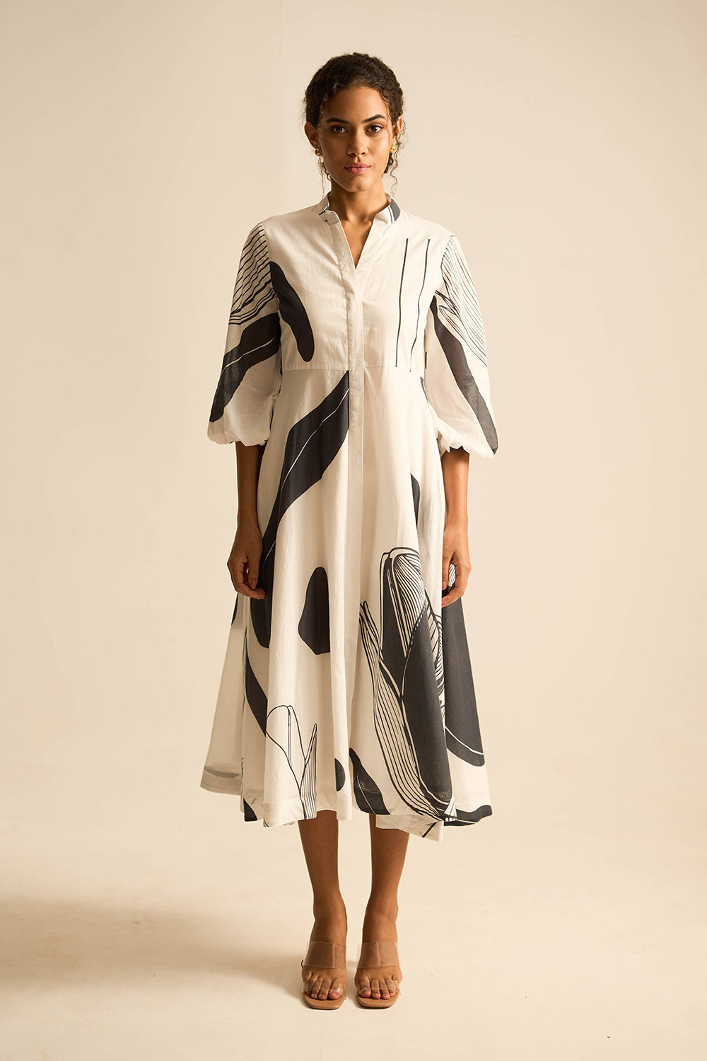 Darwin dress