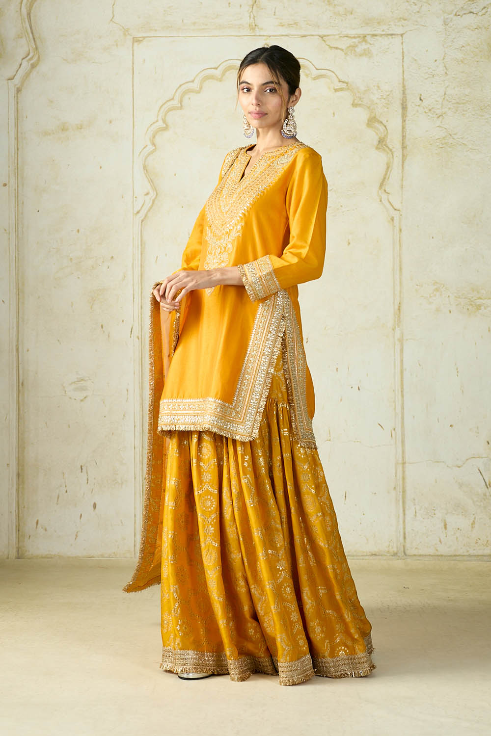 Ameena Sharara Set