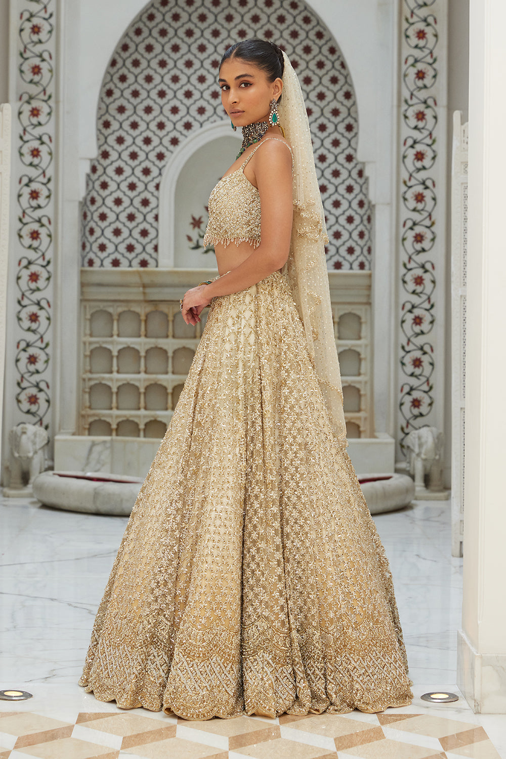 Beige Ombre Net Lehenga With Choli and Dupatta