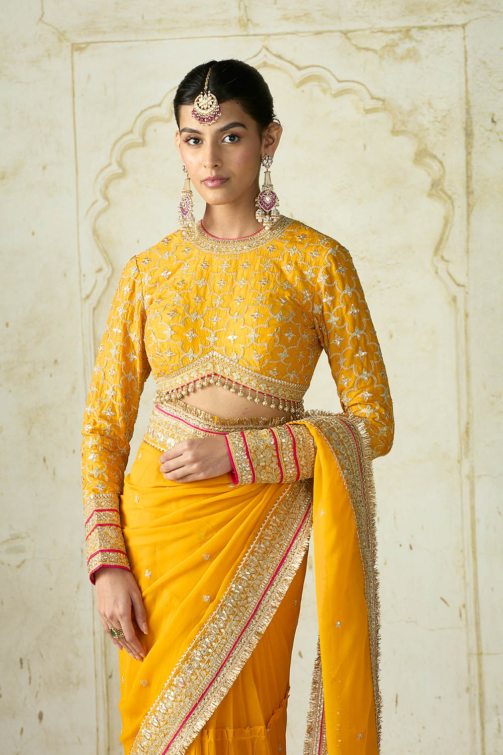 Dilruba Saree Set