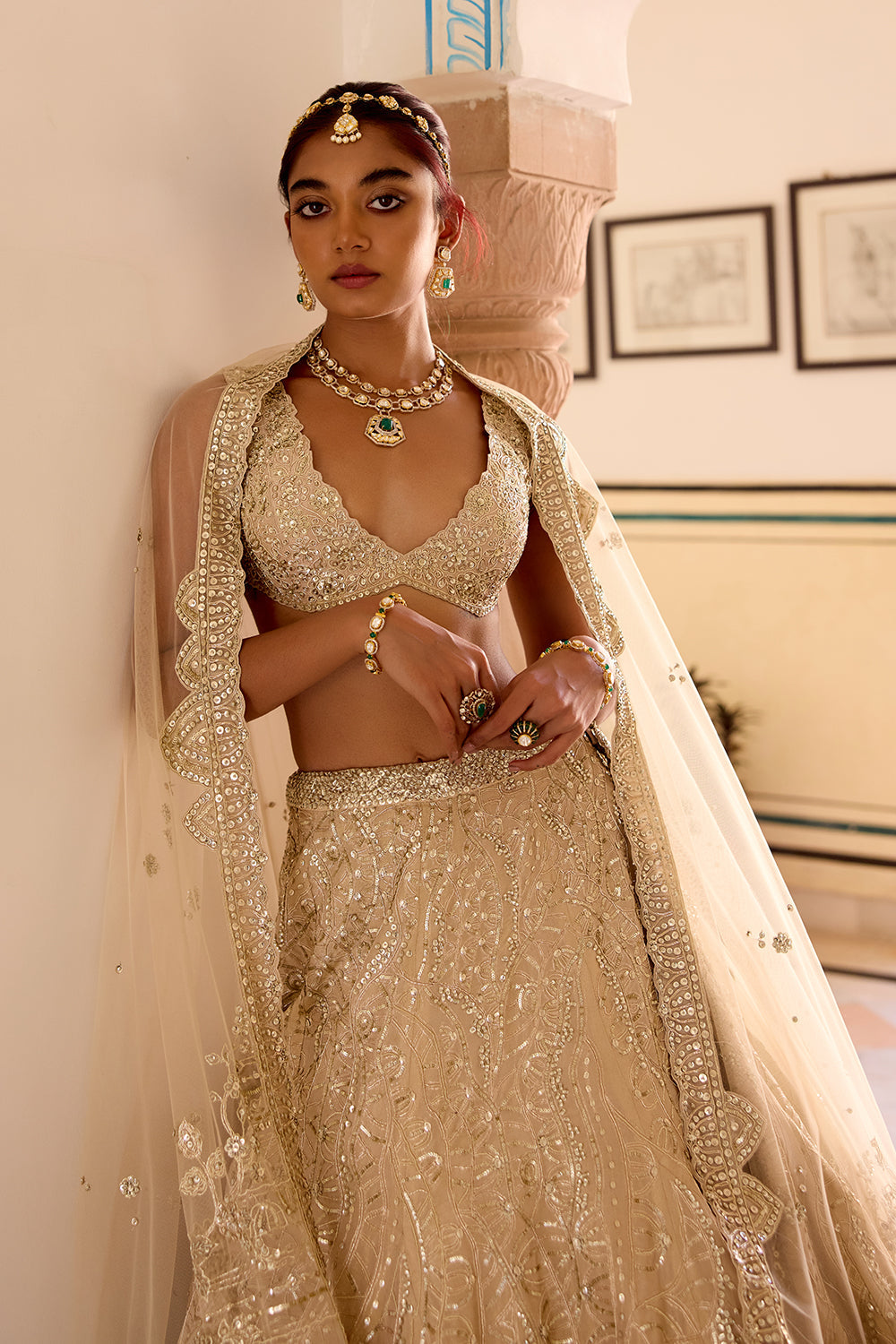 Frost Champagne Jaal Embroidered Lehenga Set