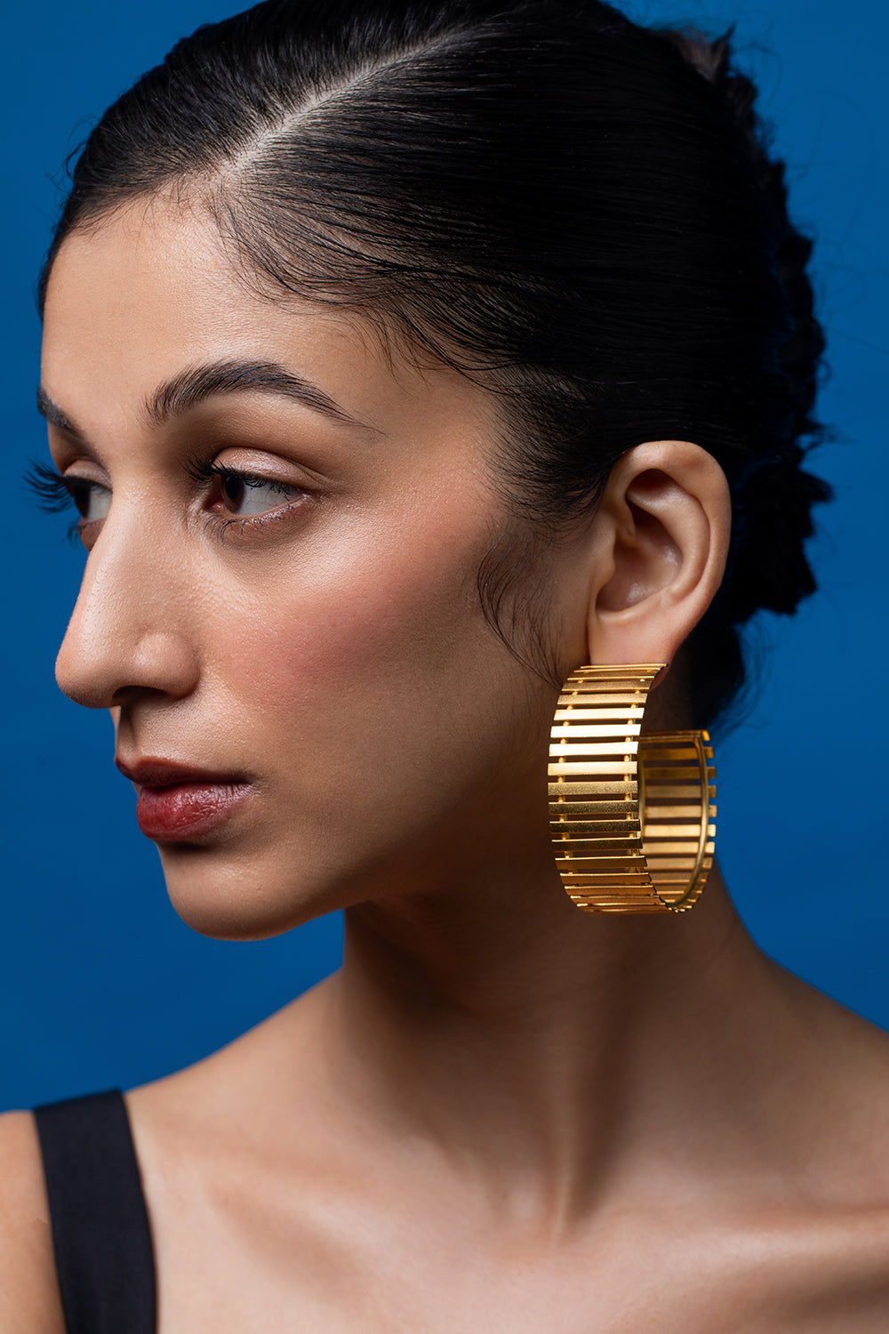 Golden Striped Fence Hoops