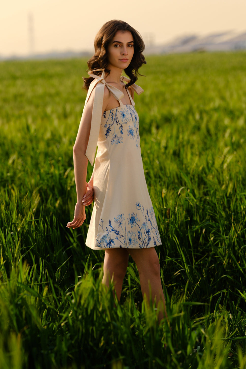 Indigo Meadow Short Dress