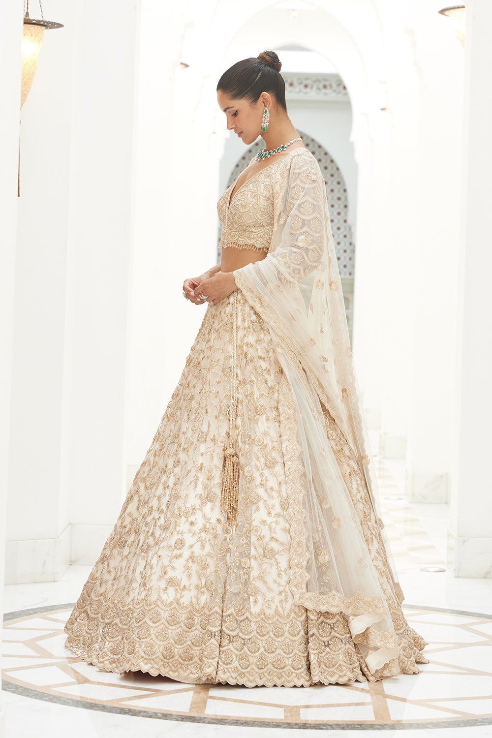 Light Beige Net Lehenga Choli Dupatta