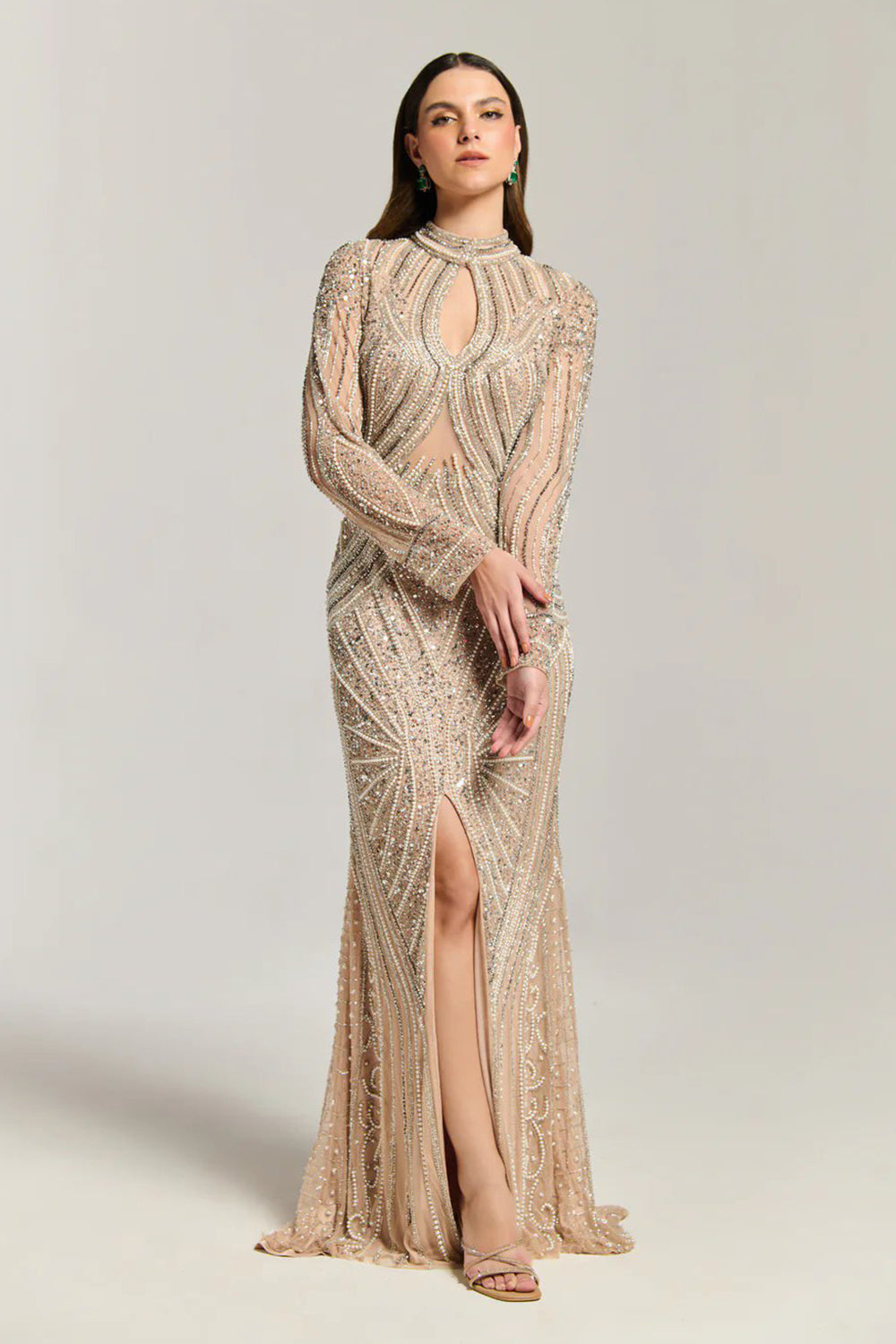 Luxury Embellished Dress