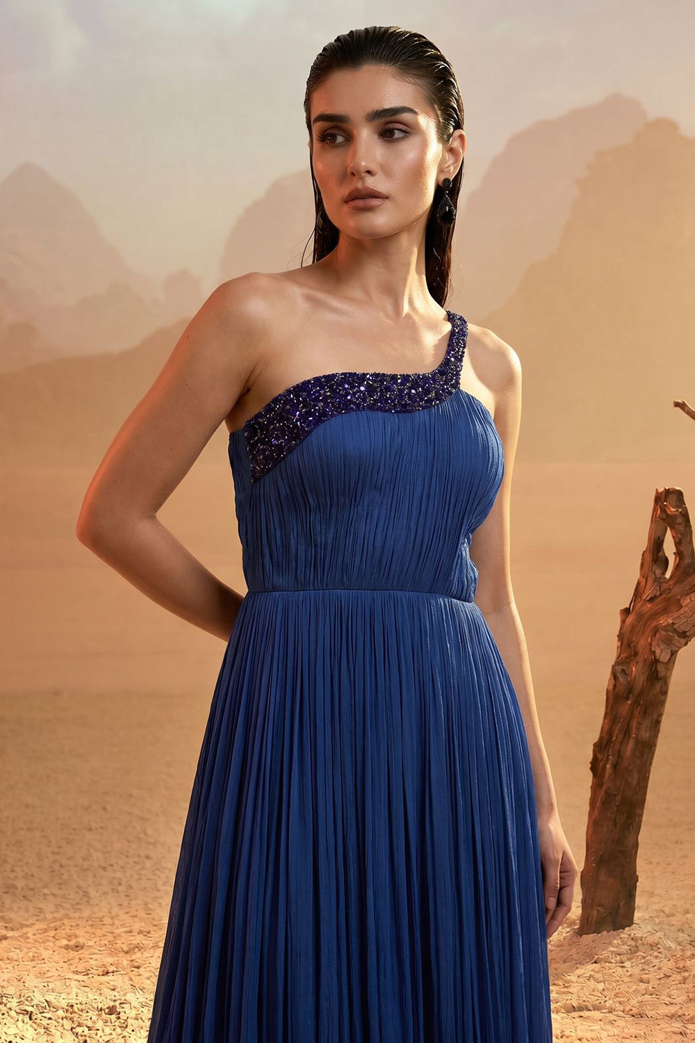 Royal Blue One-Shoulder Gown