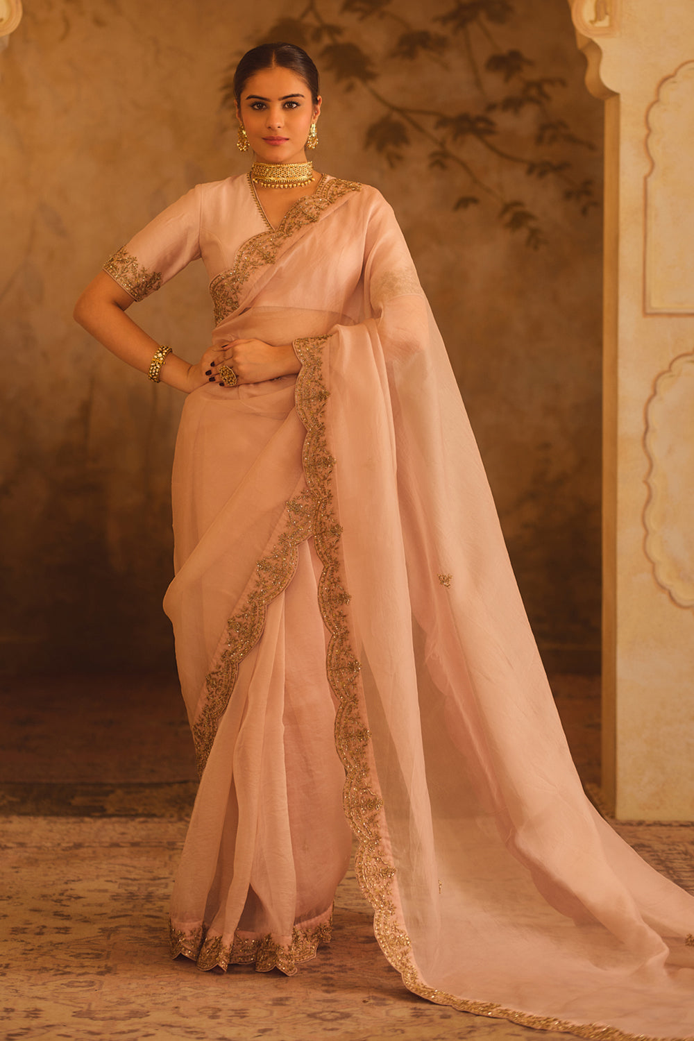 Tajra Pink Organza Saree With V-Neck Blouse