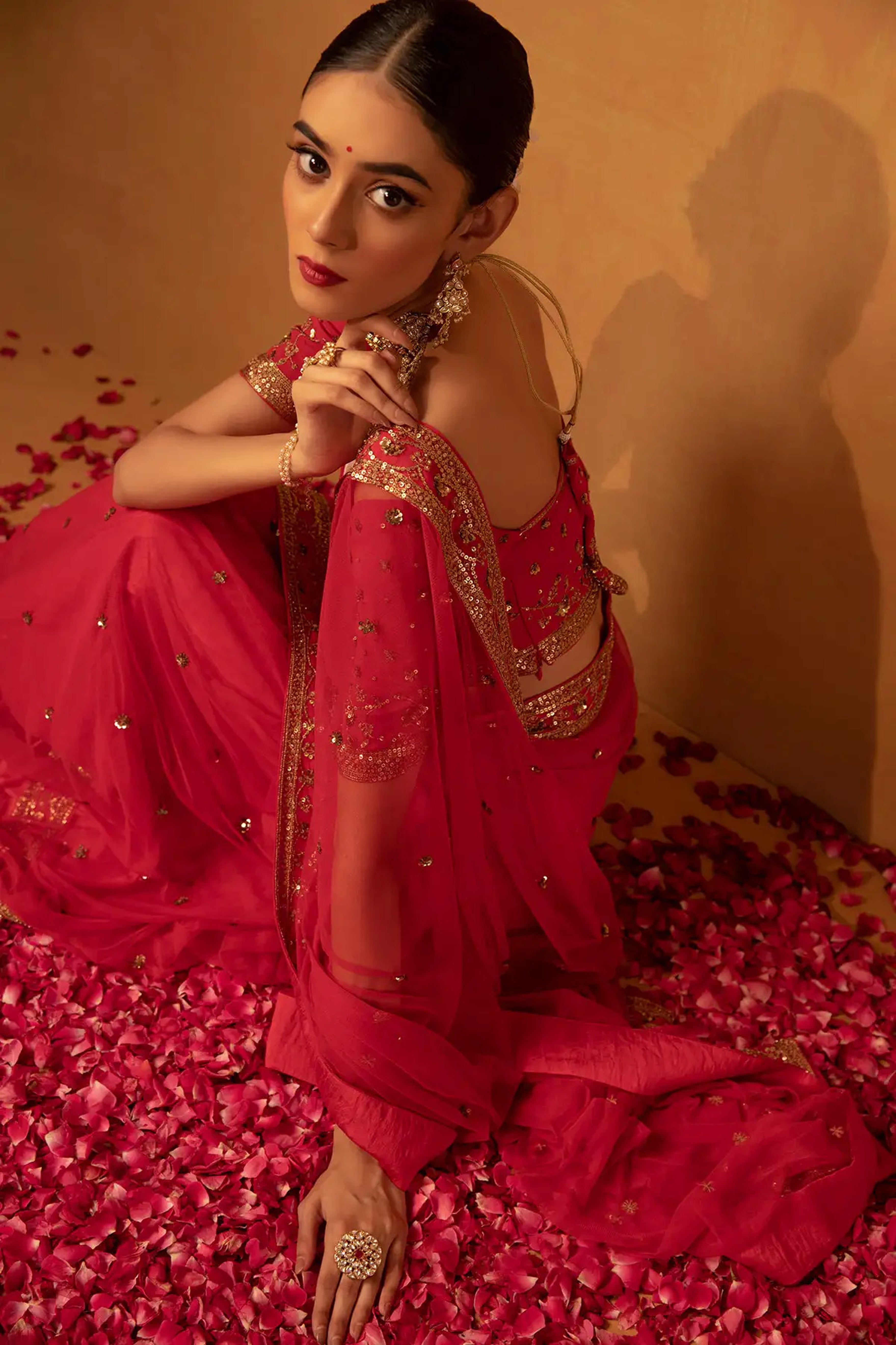 Esha Koul - Red Net Saree Set