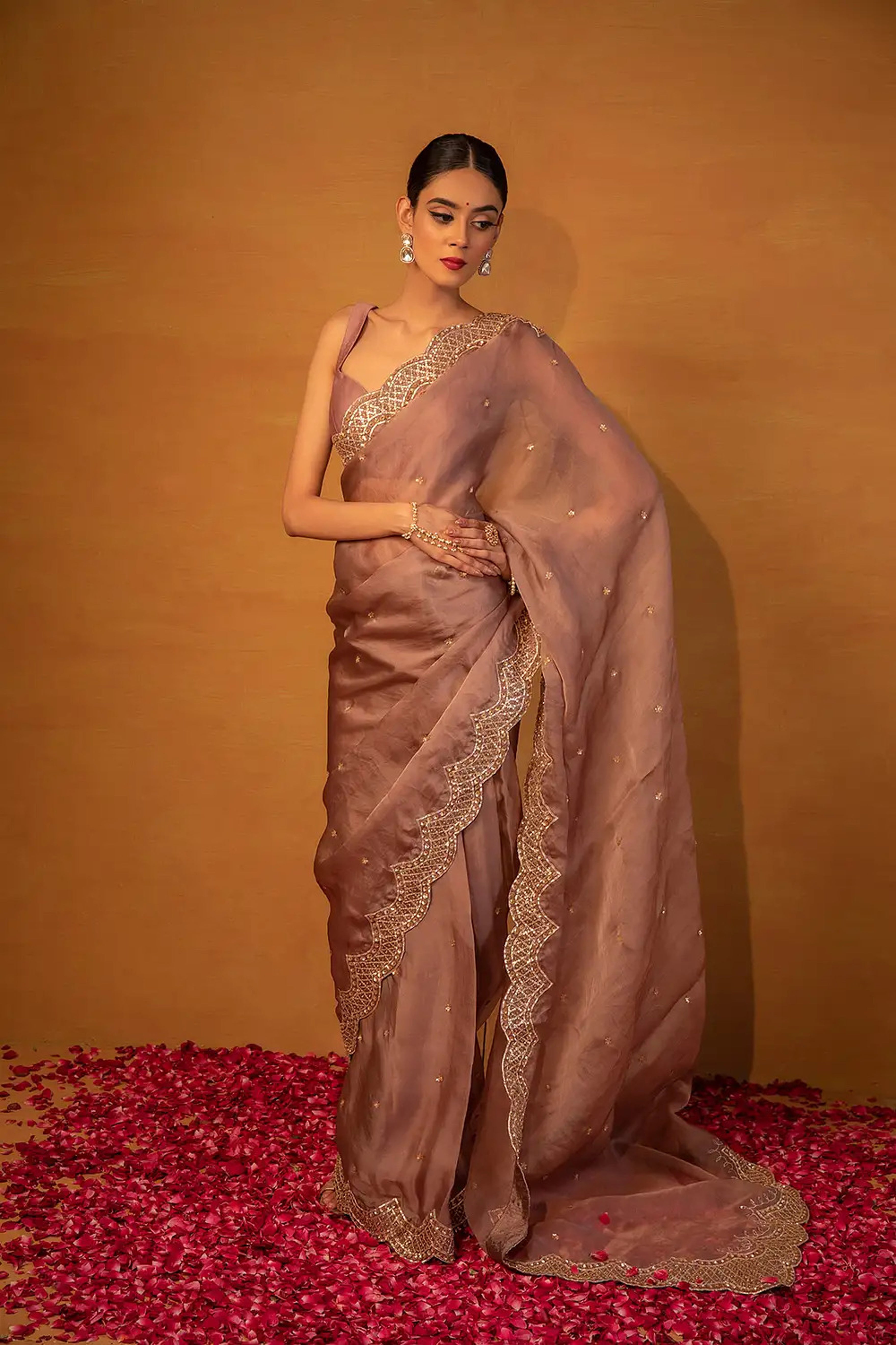 Esha Koul - Brown Organza Saree Set