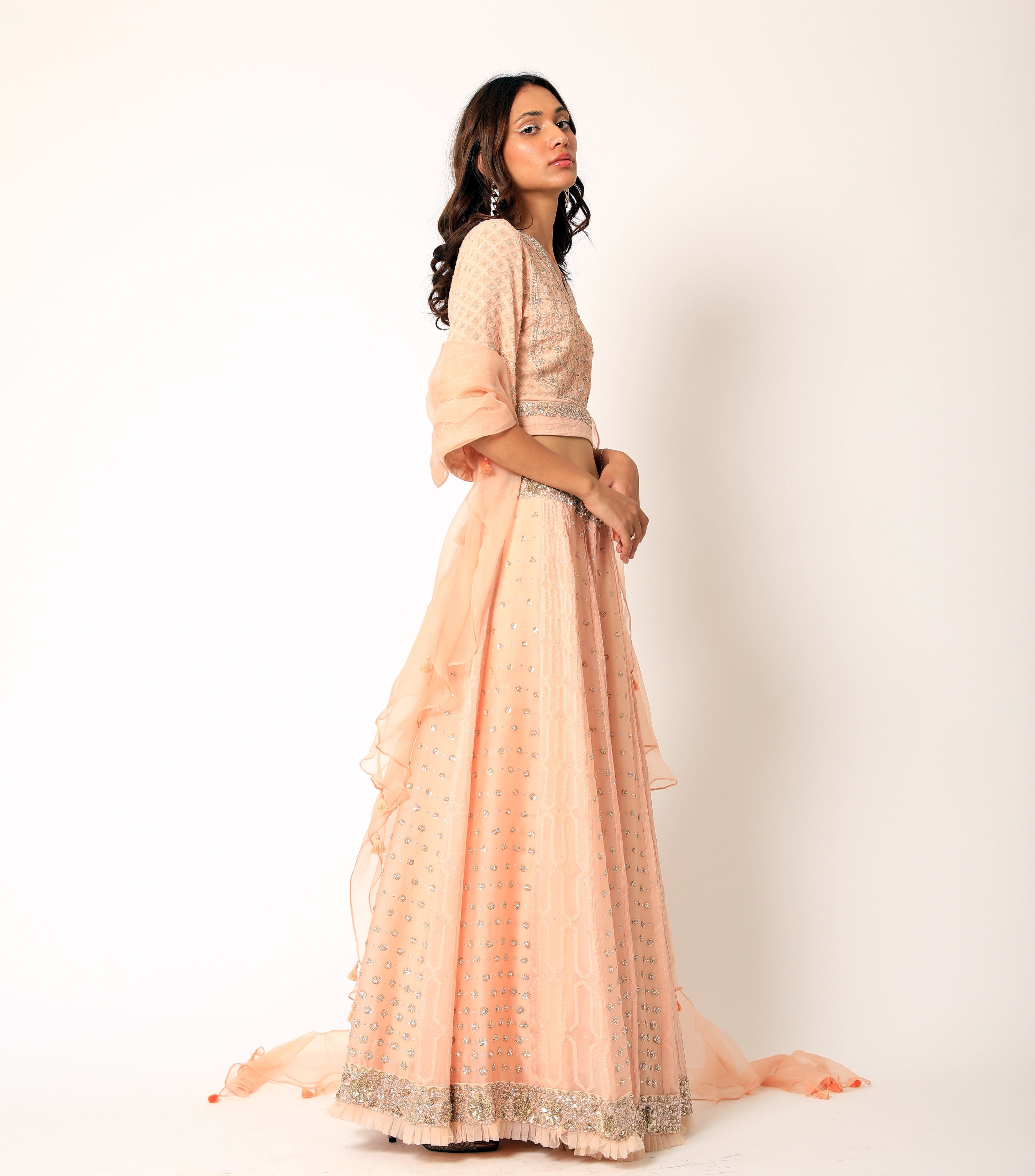 Romaa - Peach Embroidered Lehenga Set