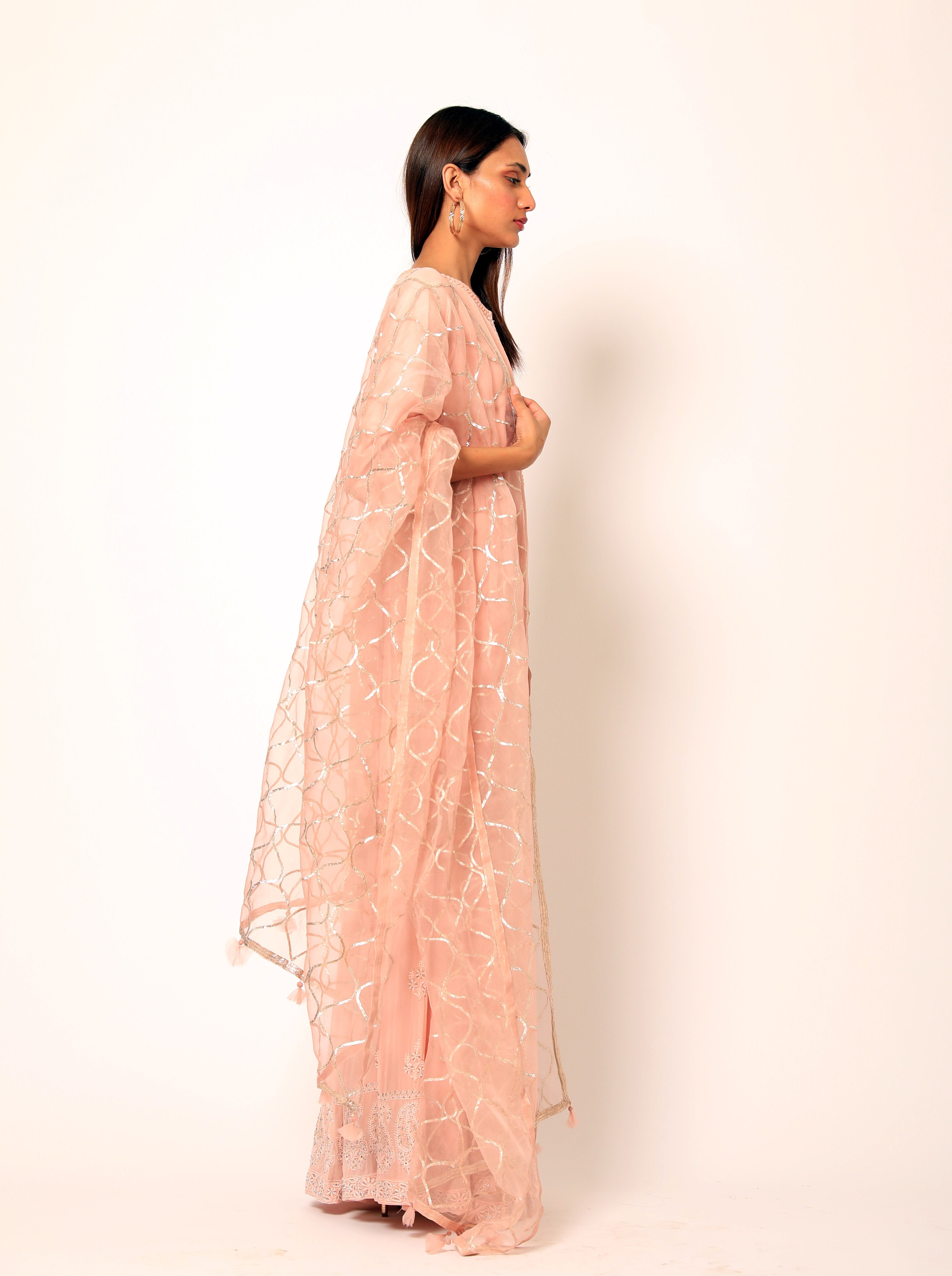 Romaa - Peach Embroidered Sharara Set