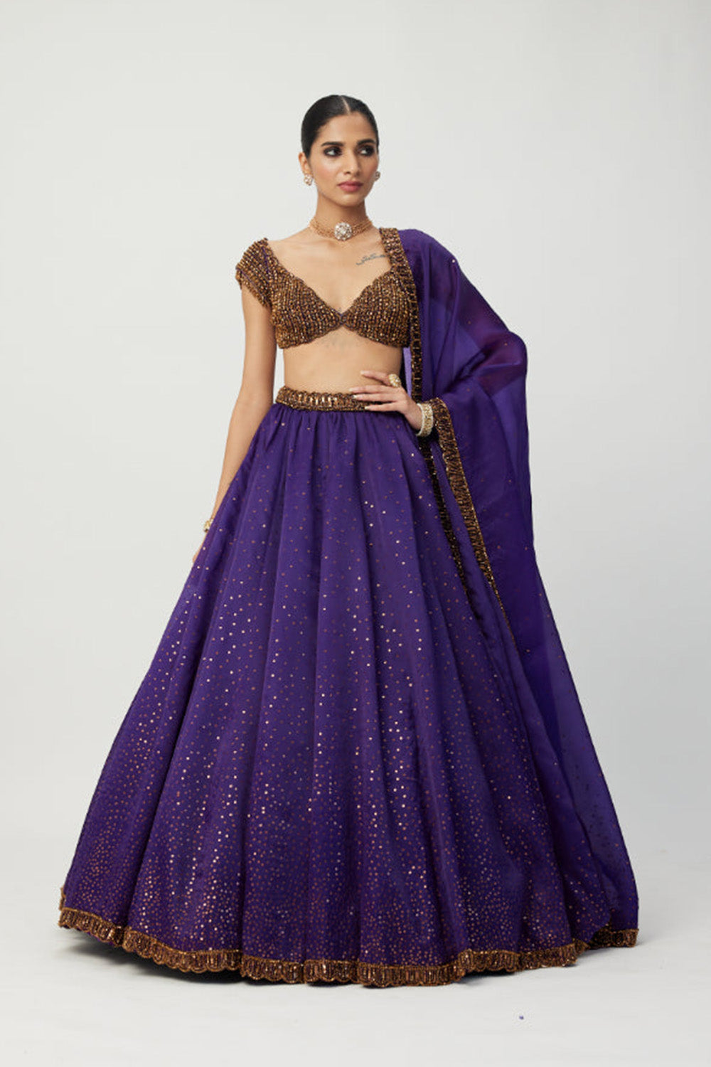 Royalty Purple Sequins Scattered Lehenga Set