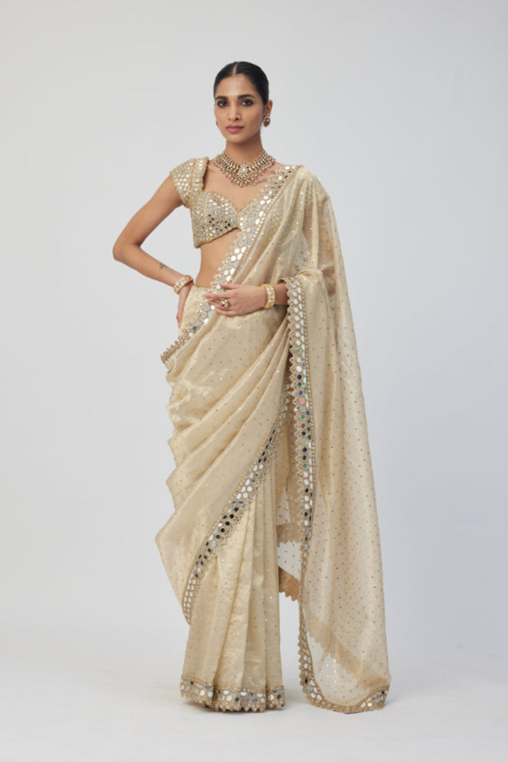 Golden Shimmer Organza saree set