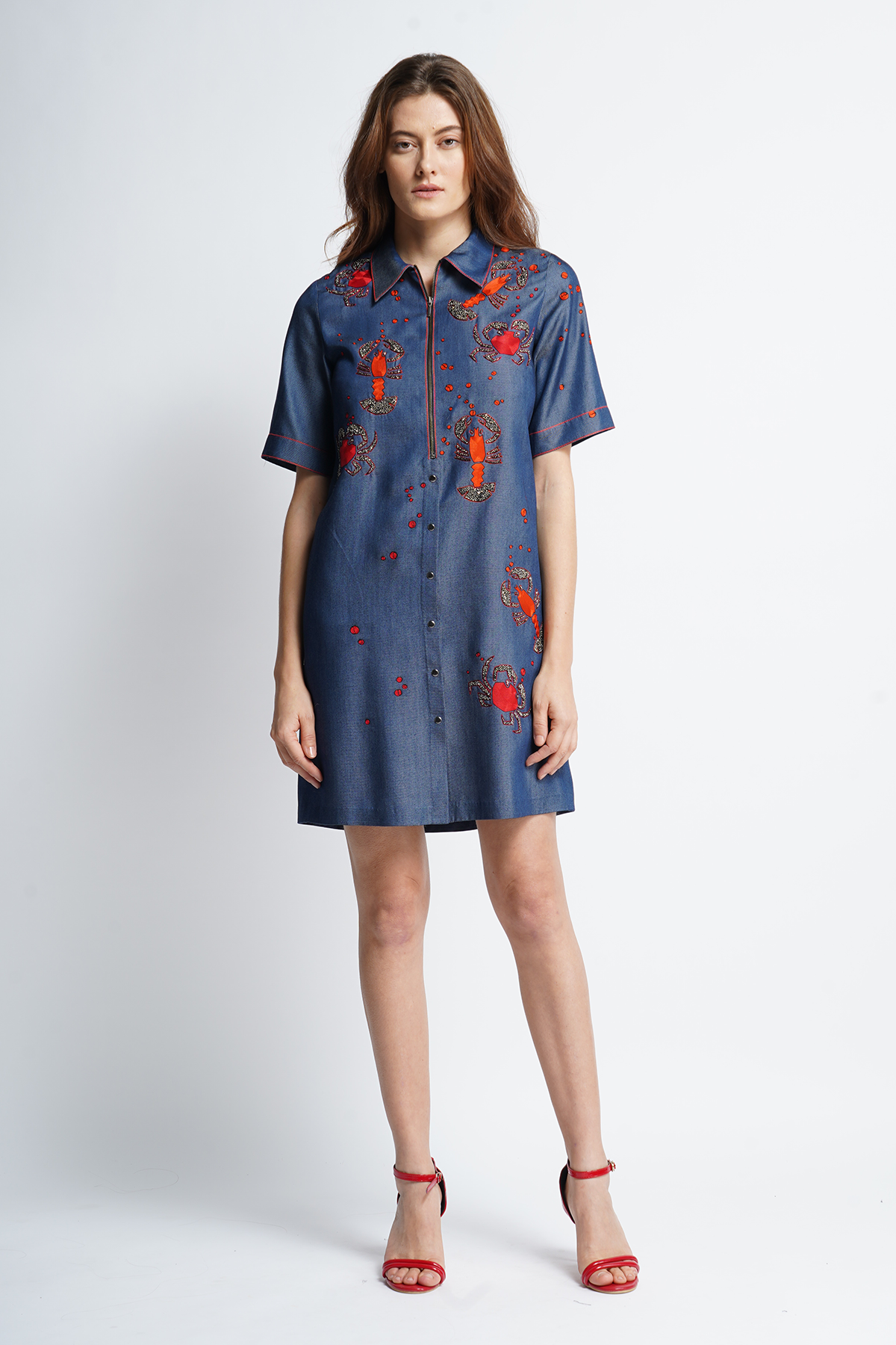 Crab And Prawns Shift Dress