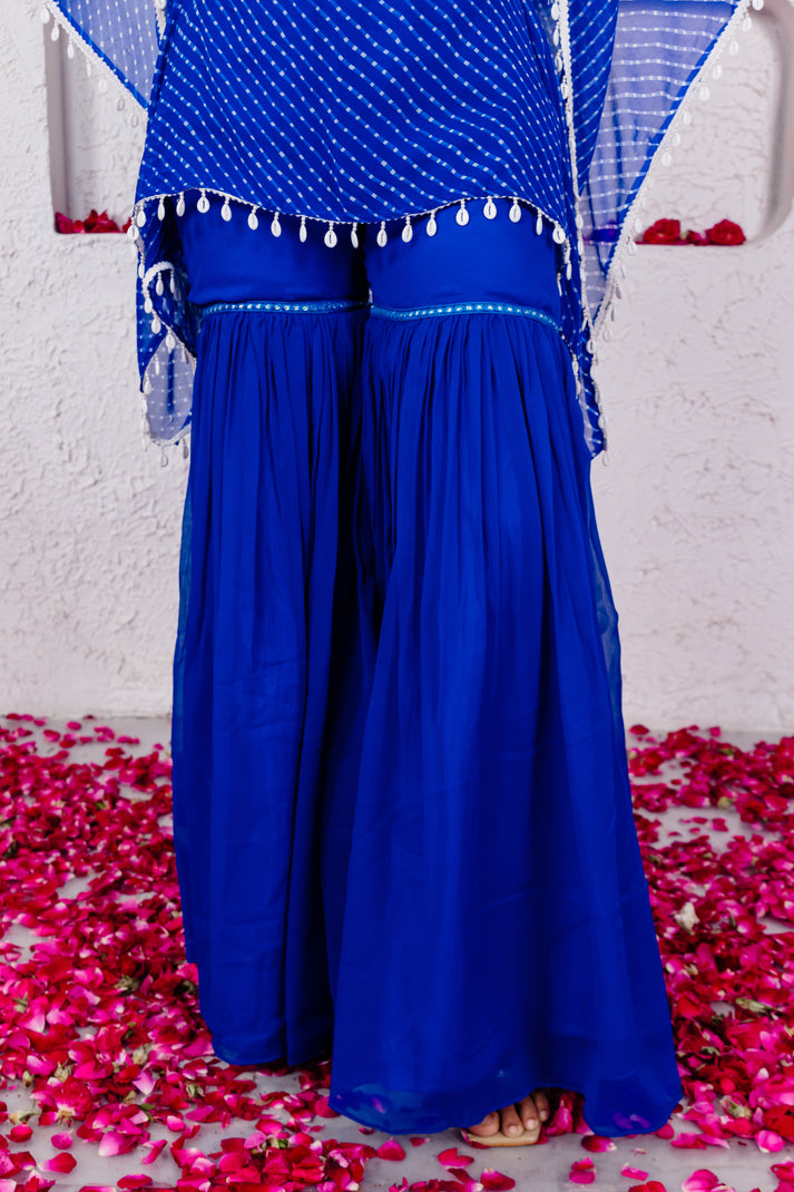 CY Bhawna Rao Anaya Royal Blue Mothra Co-Ord Set Closeup 1