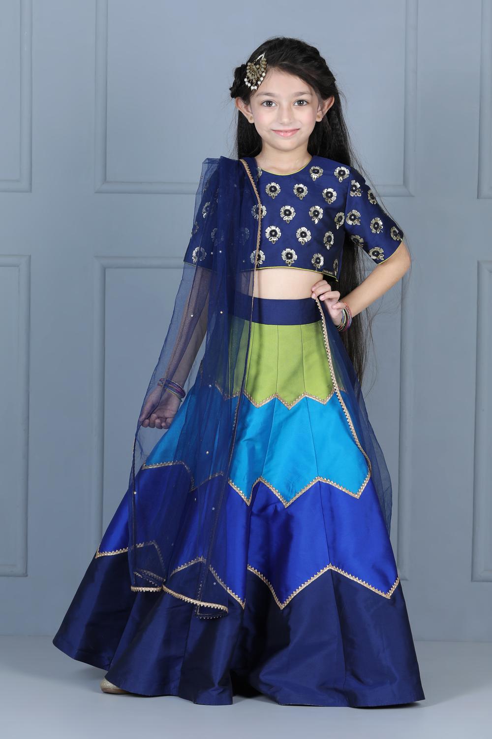 Embriodered Choli With Multi Colour Lehenga