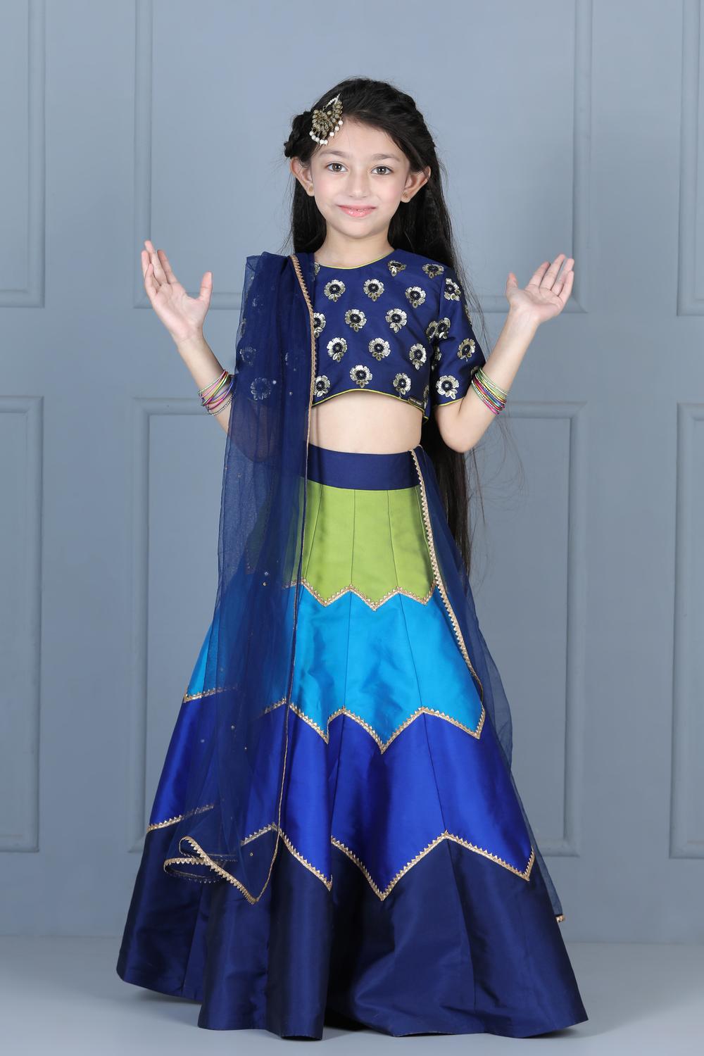 Embriodered Choli With Multi Colour Lehenga