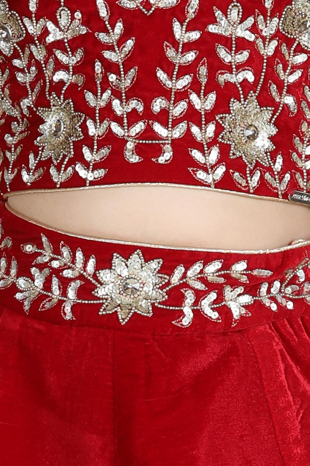 Velvet Lehenga With Embroidery