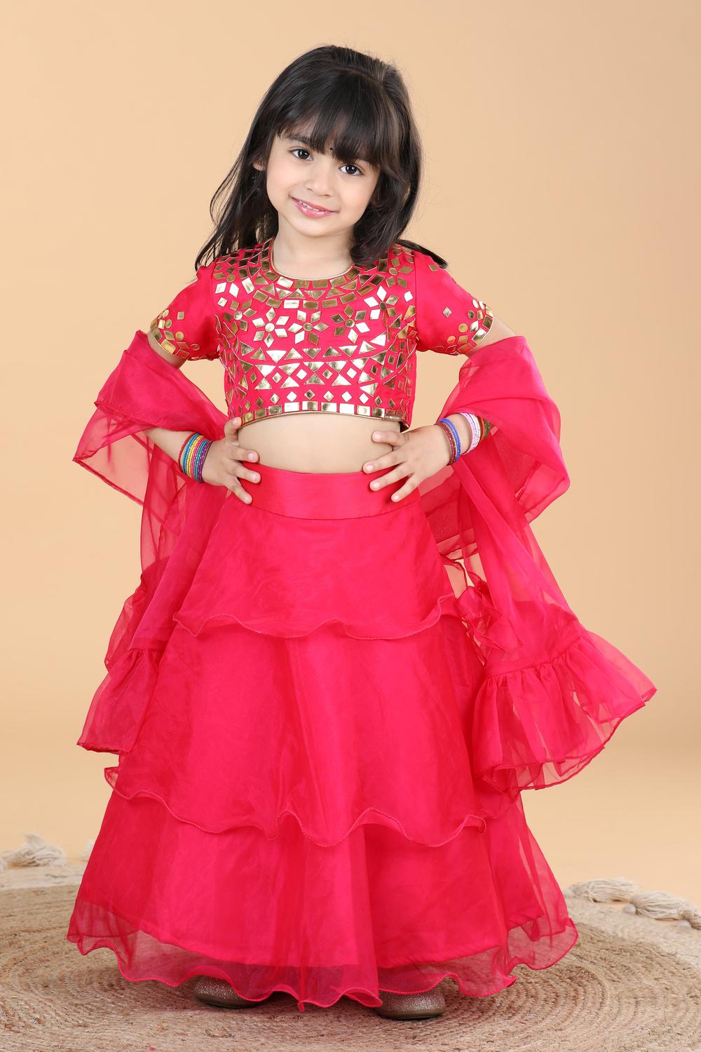 Organza Lehenga With Leather Patching
