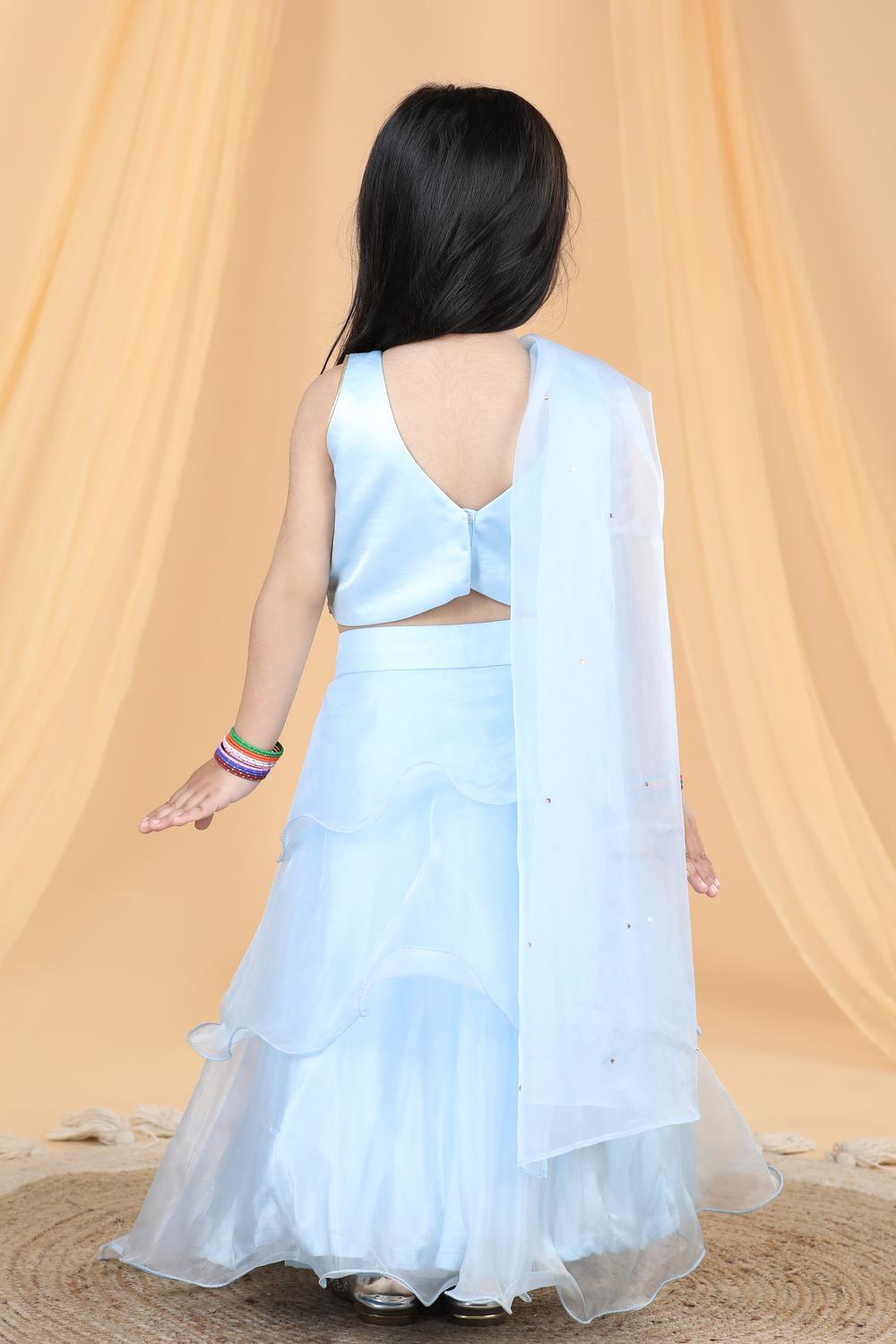 Acrylic Work Lehenga