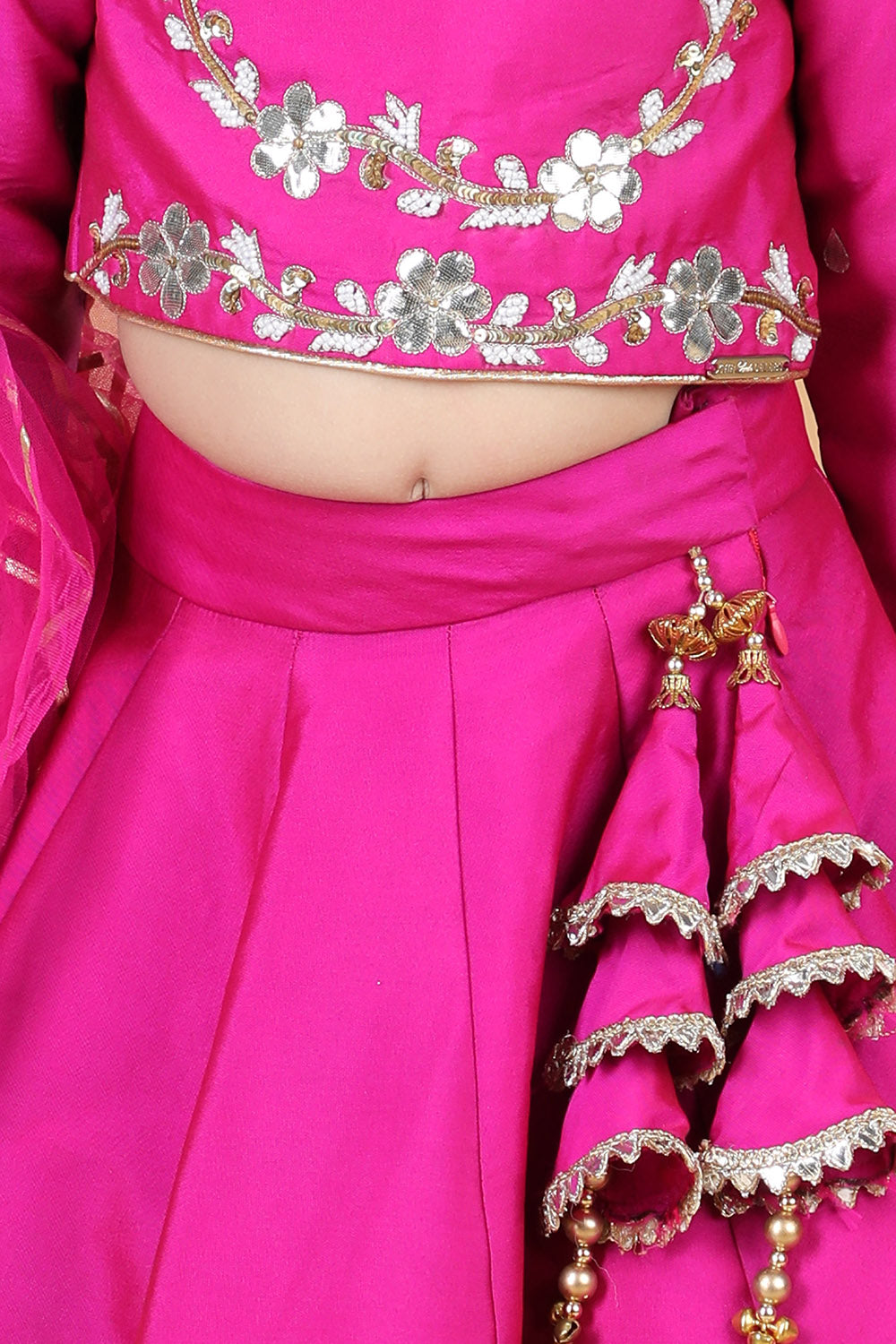 Lehenga with Embroidered Blouse