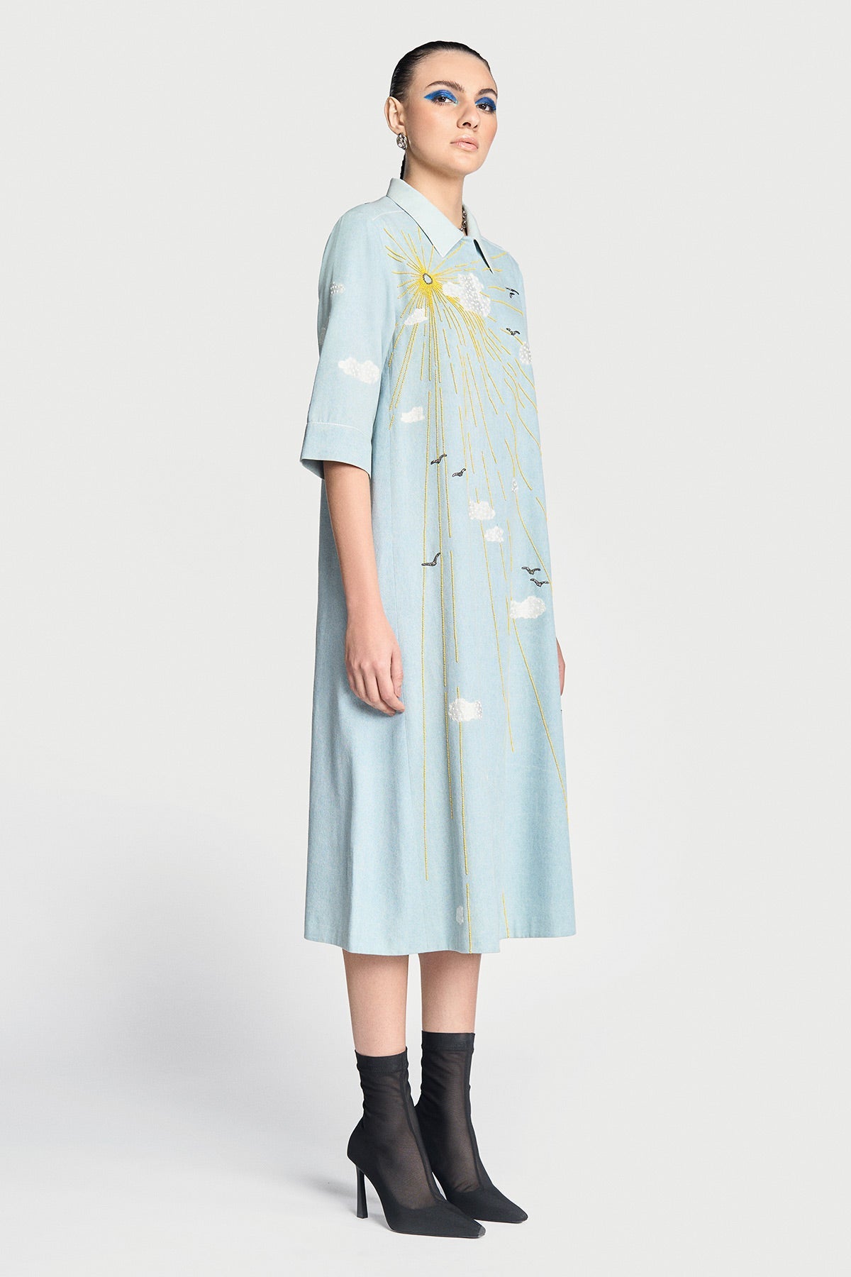 Sun,clouds & Birds Front Open Flared Dress