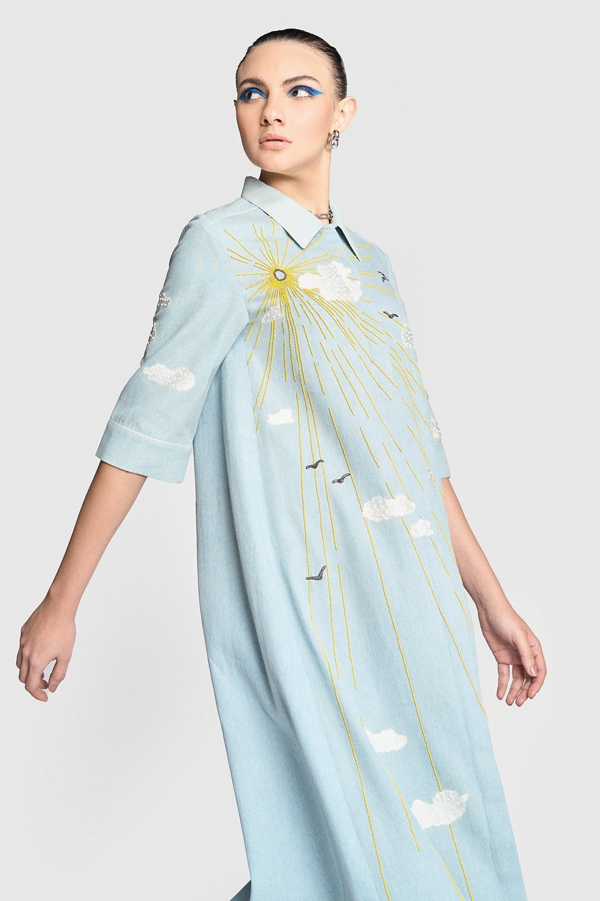 Sun,clouds & Birds Front Open Flared Dress