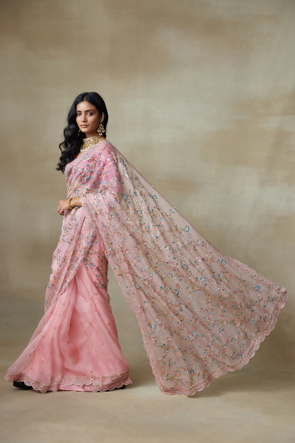 Falcon Saree Blouse