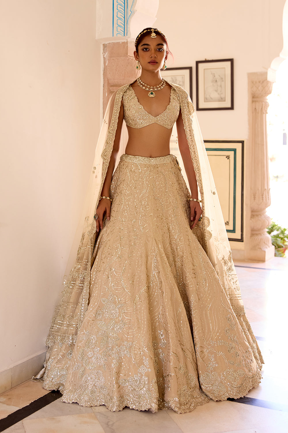 Frost Champagne Jaal Embroidered Lehenga Set