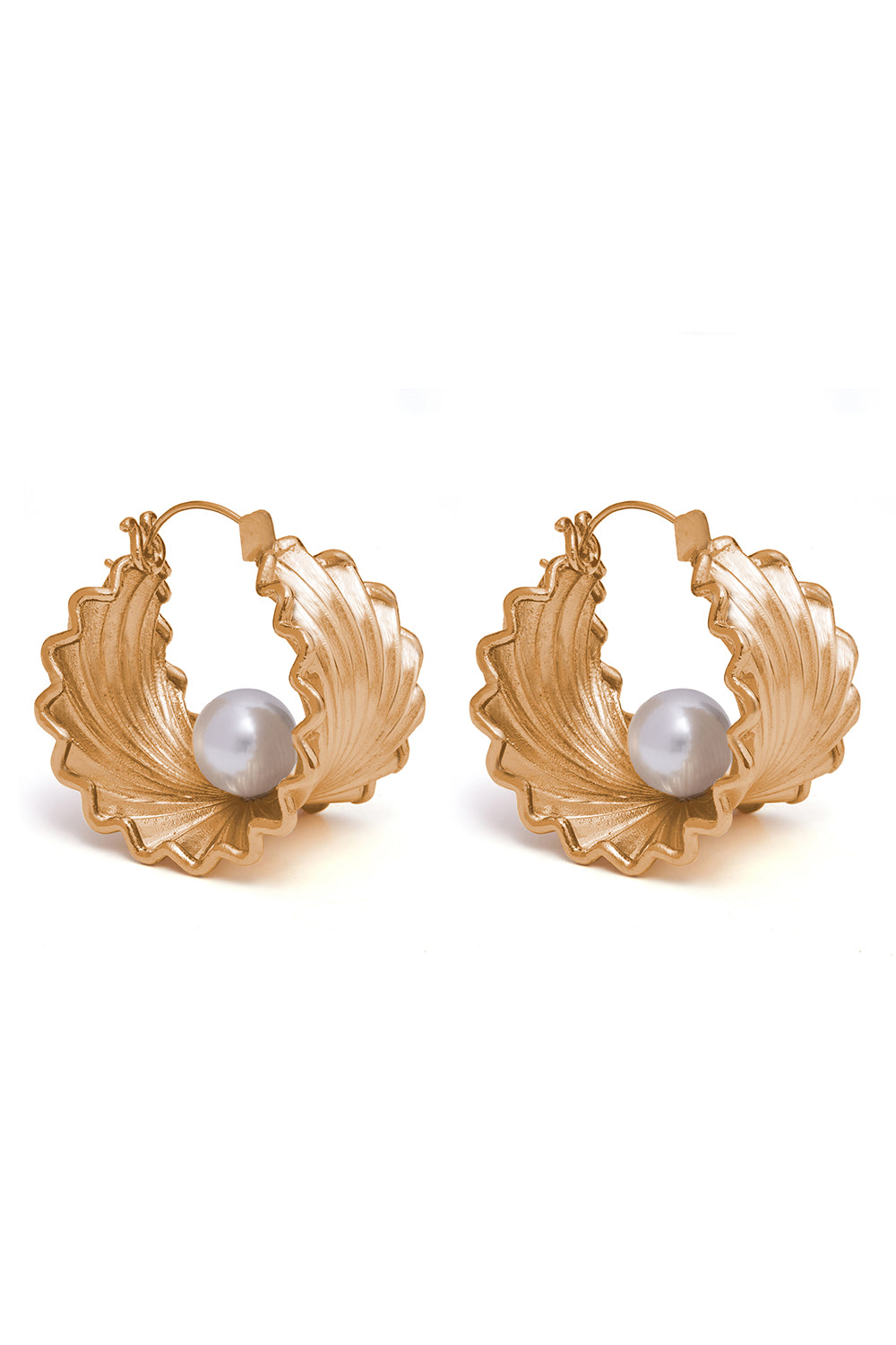 Golden Oyster Hoops