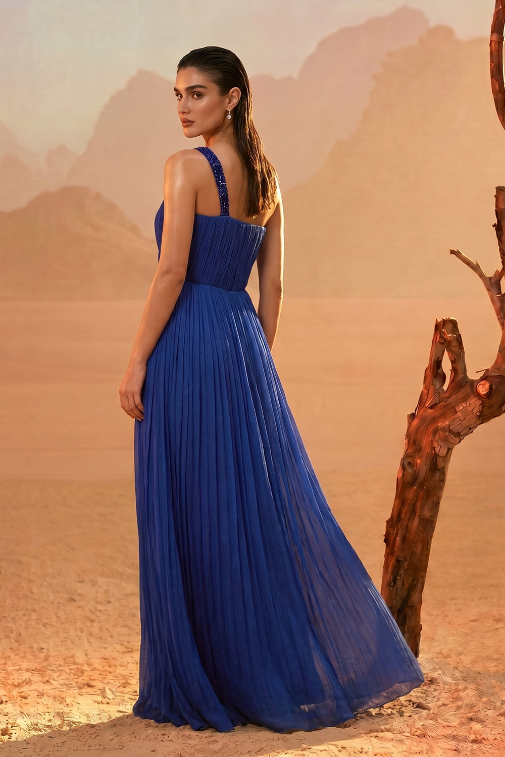 Royal Blue One-Shoulder Gown